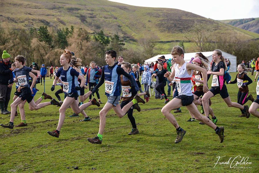 Juniors Enter The Wolf’s Pit